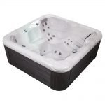Wellis-Venus-2