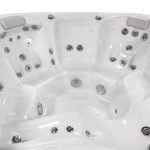 Wellis-Venus-1