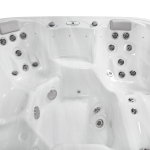 Wellis-Venus-1